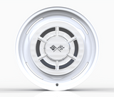 C1 Dog Dish - 17" - Vintage Forged Wheels